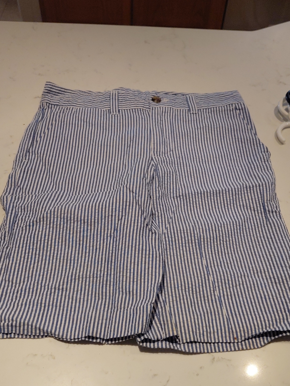 Polo by Ralph Lauren Blue and White Seersucker Flat Front Shorts
